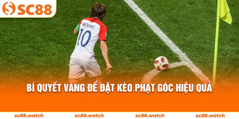 Bí quyết vàng để đặt kèo phạt góc hiệu quả