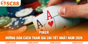Ảnh đại diện poker