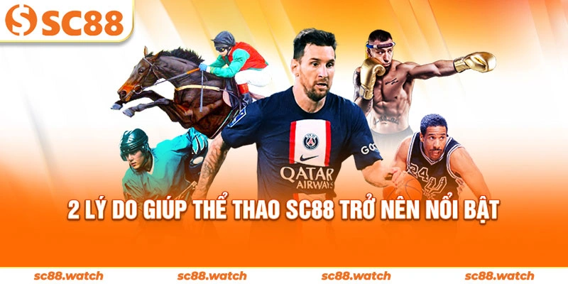 2 lý do giúp thể thao SC88 trở nên nổi bật